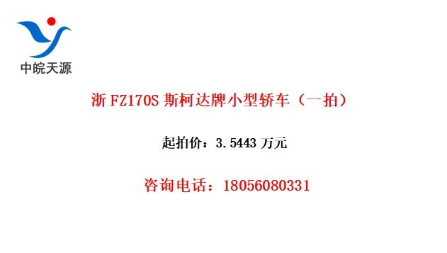 FZ170S˹´Сͽγһģ