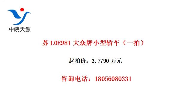 L0E981Сͽγһģ