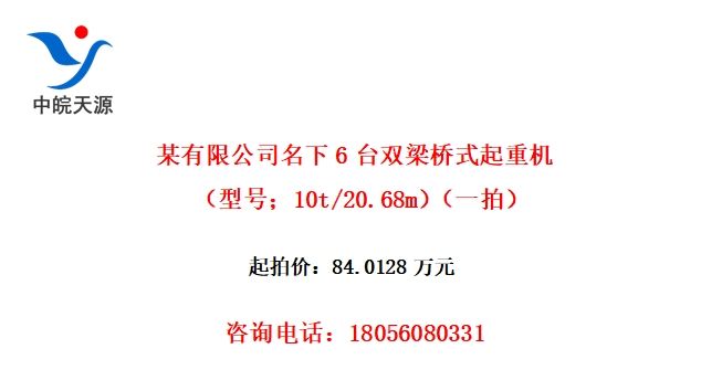 ĳ޹˾6̨˫ʽػͺţ10t/20.68mһģ