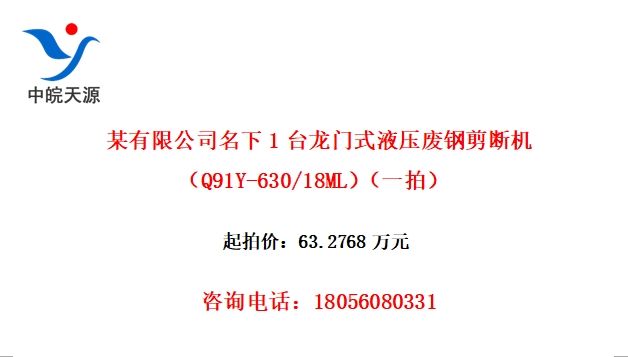 ĳ޹˾1̨ʽҺѹϸּϻQ91Y-630/18MLһģ