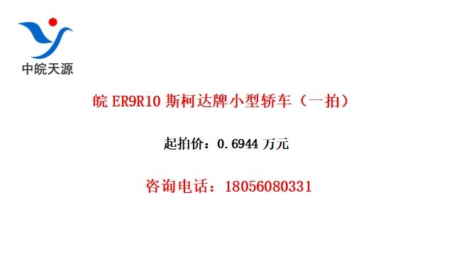 ER9R10˹´Сͽγһģ