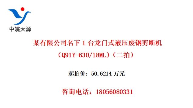 ĳ޹˾1̨ʽҺѹϸּϻQ91Y-630/18MLģ