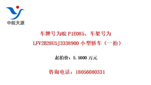 ƺΪP1E085ܺΪLFV2B28U5J3338900Сͽγһģ