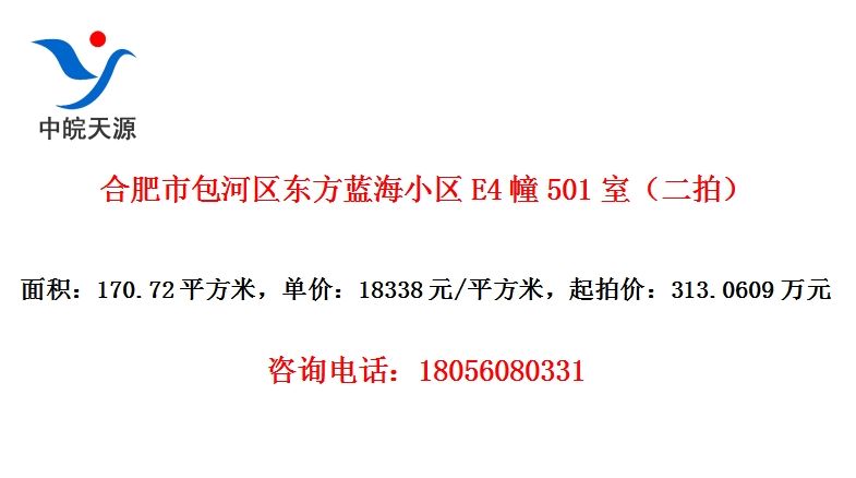 合肥市包河区东方蓝海小区E4幢501室（二拍）