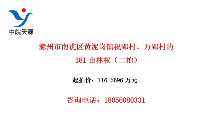 ף۫塢۫381ĶȨģ