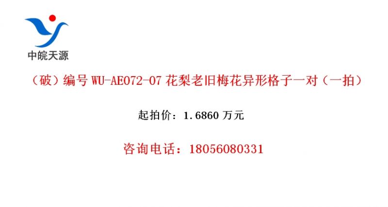 ƣWU-AE072-07Ͼ÷θһԣһģ