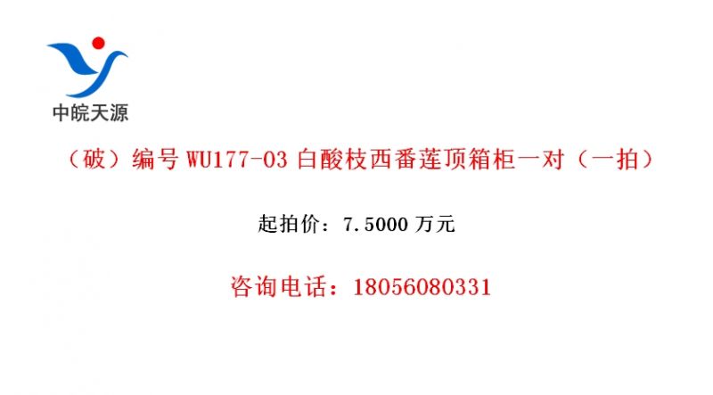 ƣWU177-03֦һԣһģ