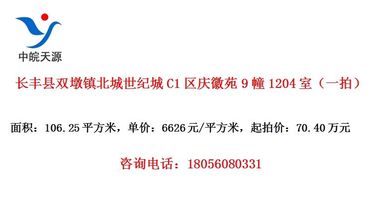 ˫򱱳ͳC1Է91204ңһģ