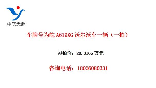 ƺΪA619XGֳֶһһģ