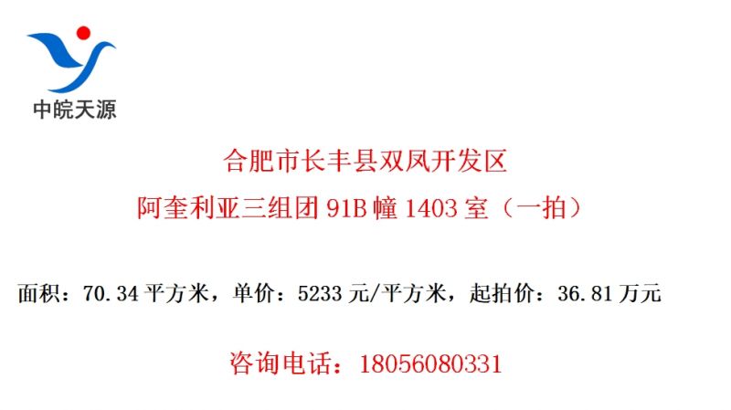 Ϸг˫￪91B1403ңһģ
