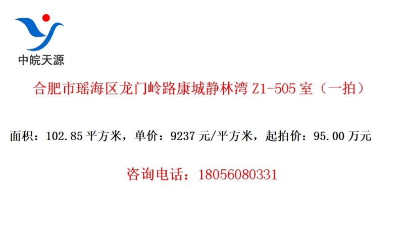 Ϸ·ǾZ1-505ңһģ