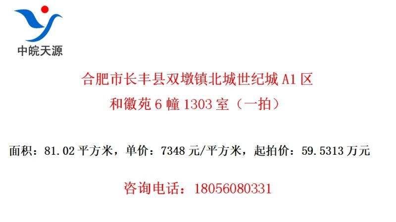 Ϸг˫򱱳ͳA1ͻԷ61303ңһģ