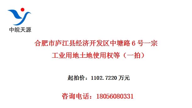 合肥市庐江县经济开发区中塘路6号一宗工业用地土地使用权等（一拍）