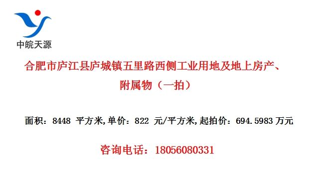 合肥市庐江县庐城镇五里路西侧工业用地及地上房产、附属物（一拍）