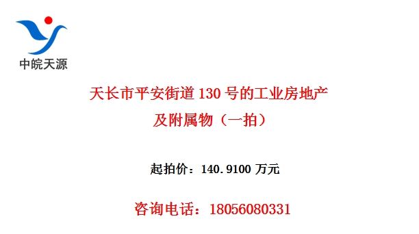 天长市平安街道130号的工业房地产及附属物（一拍）
