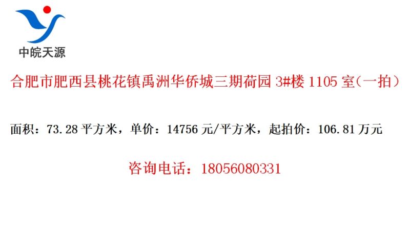 合肥市肥西县桃花镇禹洲华侨城三期荷园3#楼1105室（一拍）
