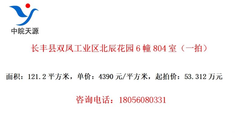 长丰县双凤工业区北辰花园6幢804室（一拍）