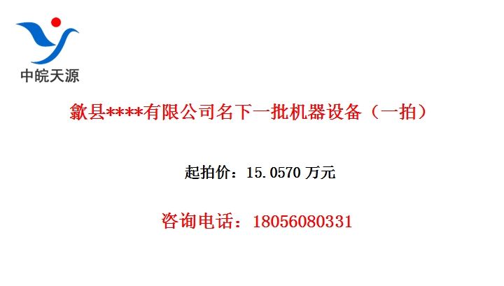 歙县****有限公司名下一批机器设备（一拍）
