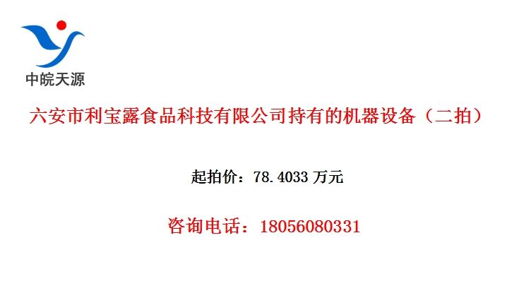 六安市利宝露食品科技有限公司持有的机器设备（二拍）