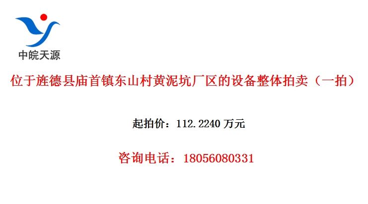位于旌德县庙首镇东山村黄泥坑厂区的设备整体拍卖（一拍）