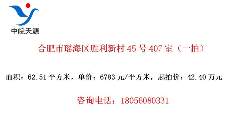合肥市瑶海区胜利新村45号407室（一拍）