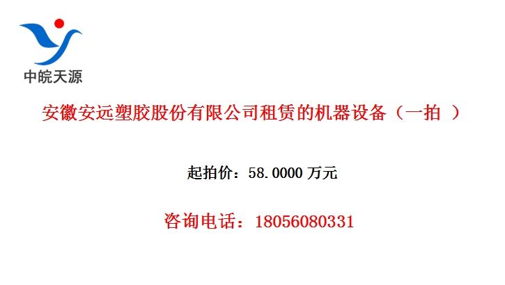 安徽安远塑胶股份有限公司租赁的机器设备（一拍 ）