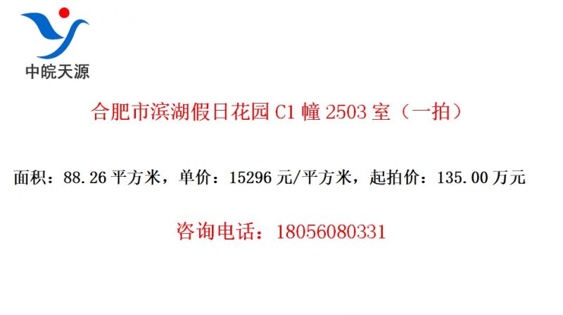 合肥市滨湖假日花园C1幢2503室（一拍）