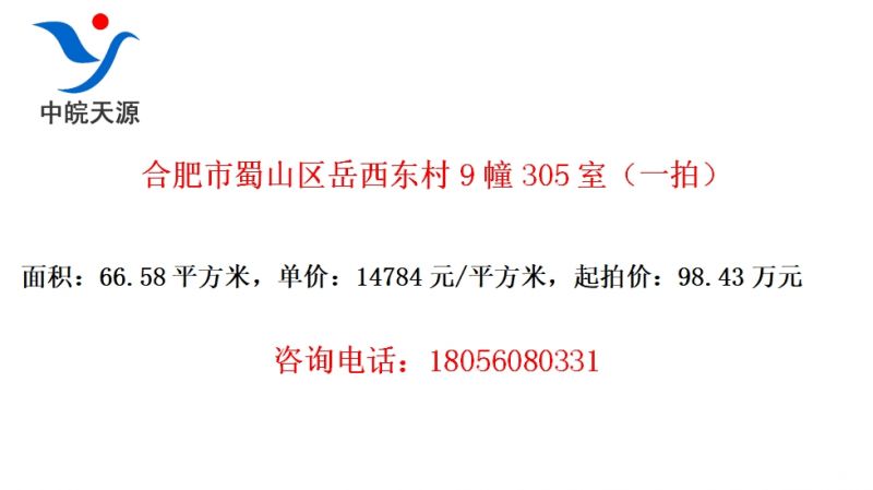 合肥市蜀山区岳西东村9幢305室（一拍）