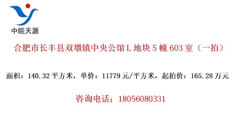 合肥市长丰县双墩镇中央公馆L地块5幢603室（一拍）
