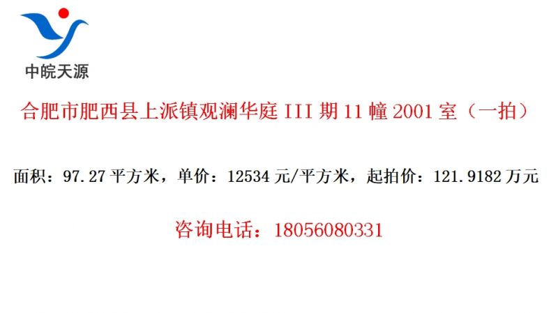 合肥市肥西县上派镇观澜华庭III期11幢2001室（一拍）