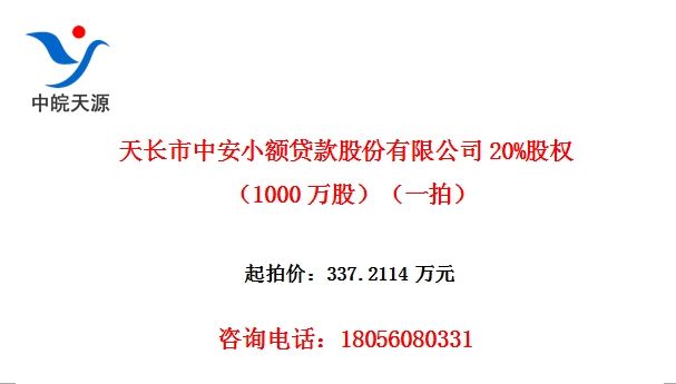 쳤аСɷ޹˾20%Ȩ1000ɣһģ