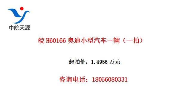 H60166µСһһģ