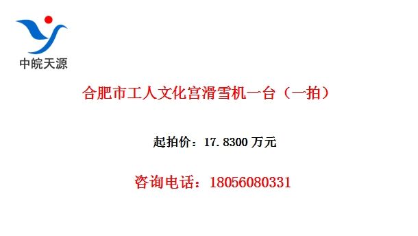 合肥市工人文化宫滑雪机一台（一拍）