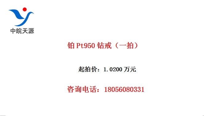 Pt950䣨һģ