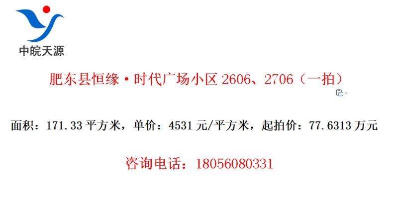 肥东县恒缘·时代广场小区2606、2706（一拍）