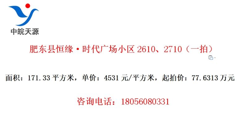 肥东县恒缘·时代广场小区2610、2710（一拍）