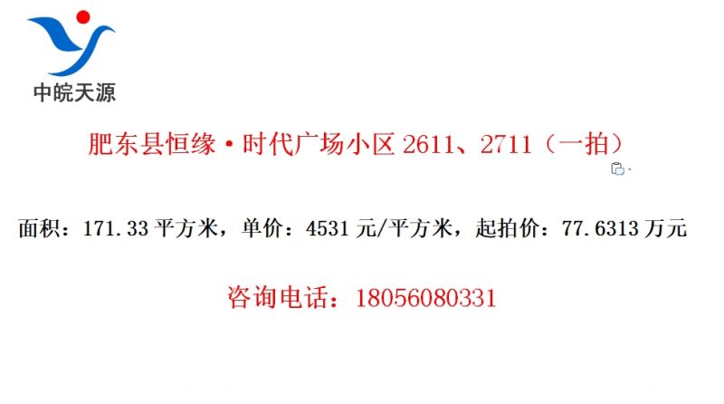 肥东县恒缘·时代广场小区2611、2711（一拍）