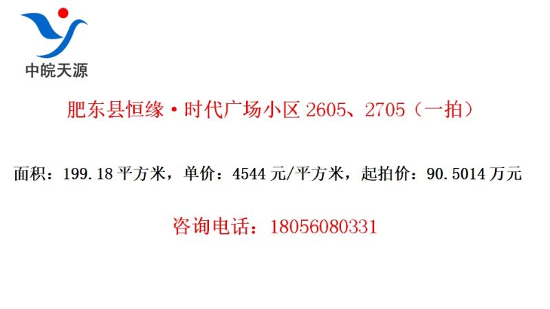 肥东县恒缘·时代广场小区2605、2705（一拍）