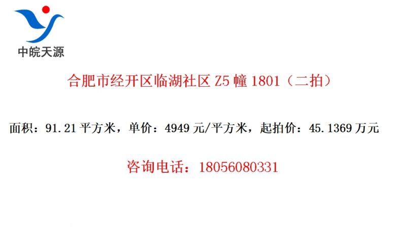 合肥市经开区临湖社区Z5幢1801（二拍）