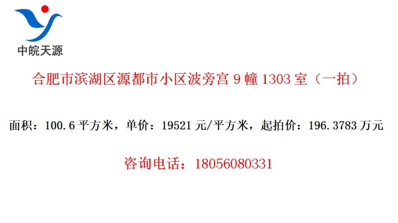 合肥市滨湖区源都市小区波旁宫9幢1303室（一拍）