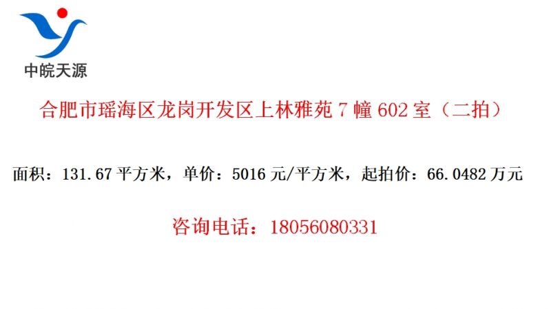 合肥市瑶海区龙岗开发区上林雅苑7幢602室（二拍）