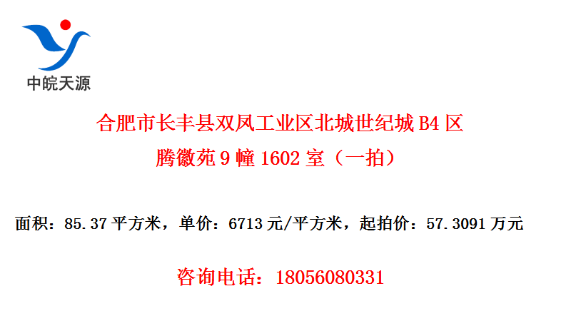 Ϸг˫﹤ҵͳB4ڻԷ91602ңһģ