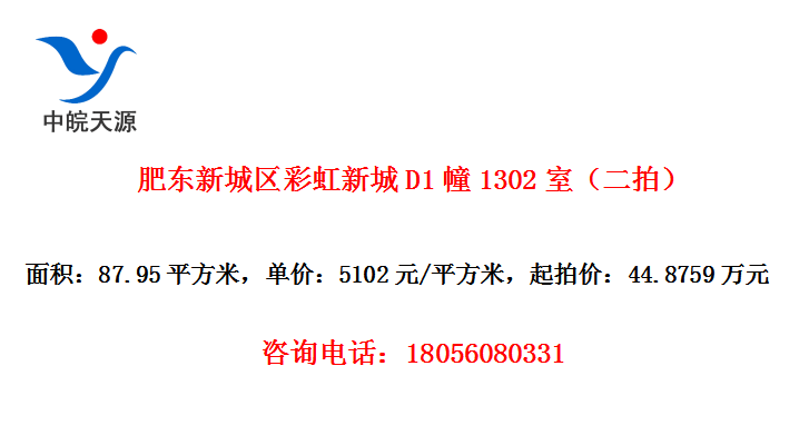 肥东新城区彩虹新城D1幢1302室（二拍）