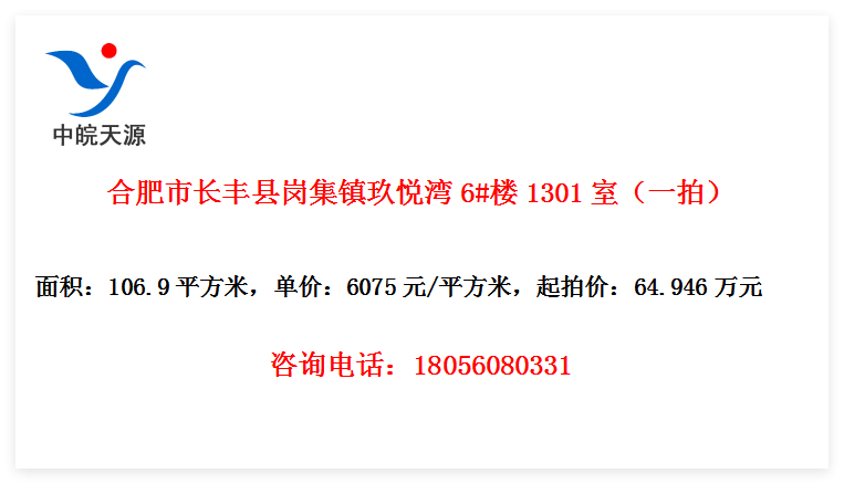 合肥市长丰县岗集镇玖悦湾6#楼1301室（一拍）
