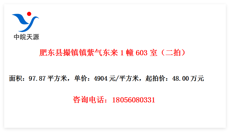 肥东县撮镇镇紫气东来1幢603室（二拍）