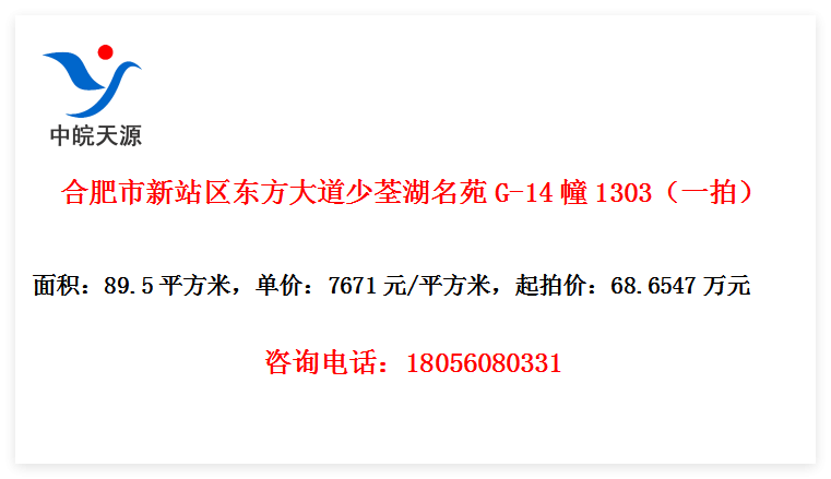 合肥市新站区东方大道少荃湖名苑G-14幢1303（一拍）