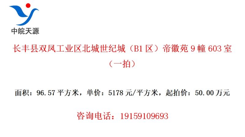 ˫﹤ҵͳǣB1ۻԷ9603ңһģ