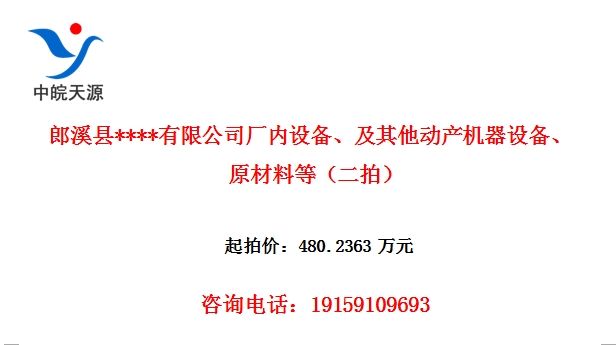 郎溪县****有限公司厂内设备、及其他动产机器设备、原材料等(二拍)