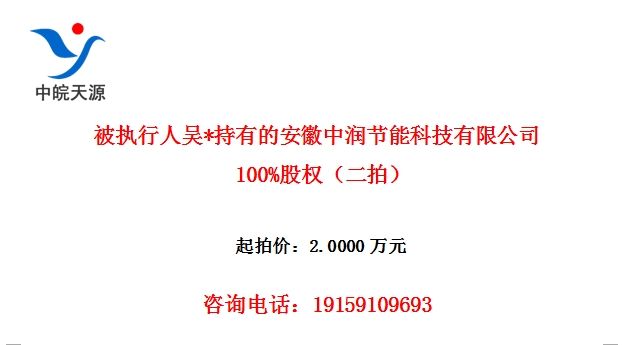 被执行人吴*持有的安徽中润节能科技有限公司100%股权(二拍)