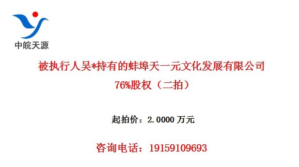 被执行人吴*持有的蚌埠天一元文化发展有限公司76%股权(二拍)